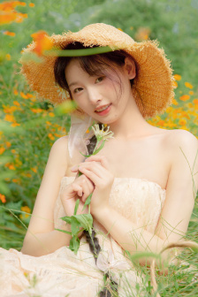 陆战之王电视剧